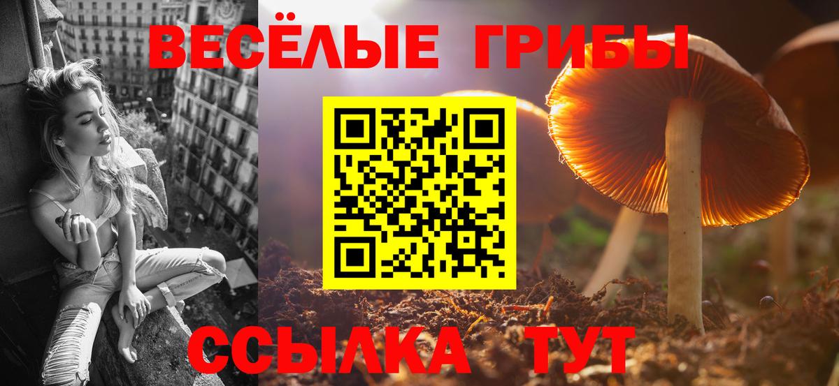 Галлюциногенные грибы Psilocybe Серпухов