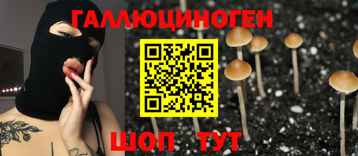 Галлюциногенные грибы Magic Shrooms Серпухов